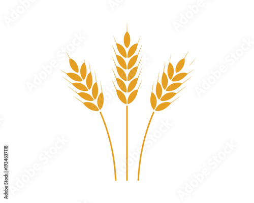 Three golden wheat stalks standing upright against a plain background