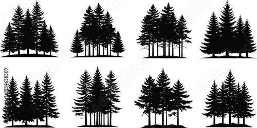 Pine forest silhouettes collection, evergreen trees set, nature landscape illustration, woodland scenery, black tree shadows isolated on white background