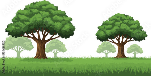 Green oak trees in a grassy field under a white background featuring summer nature landscape environmental conservation park and forest greenery