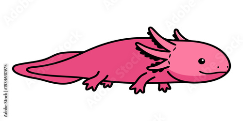 A cartoon axolotl with gills and limbs, isolated on a plain background, viewed from the side.