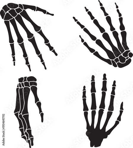 Skeleton Hand Study: An artistic compilation of black skeleton hands, offering a detailed perspective on skeletal anatomy and bone structure.