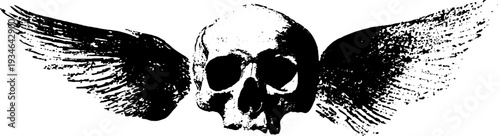 Skull with wings ink silhouette design for tattoos and apparel