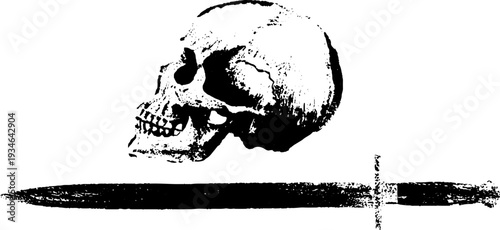Intricate skull and sword ink art in striking black and white contrast