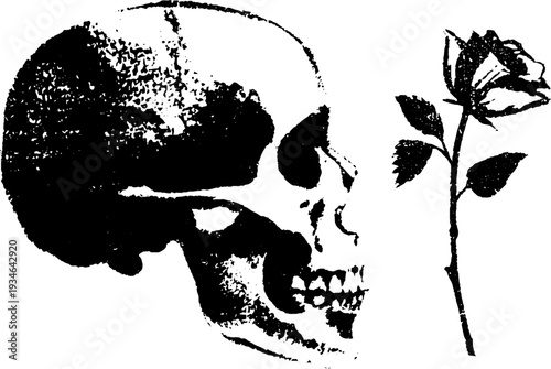 Gothic skull and rose ink illustration for tattoo or design