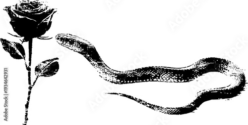 Snake and rose high contrast ink art - black and white design for prints and posters