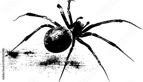 Black and white ink spider emblem with banner design for halloween decor