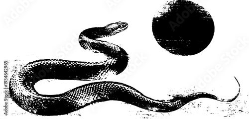 Serpent and sun high contrast black and white ink artwork for bold design