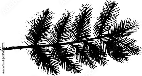 High contrast spruce branch ink sketch for retro design and decoration