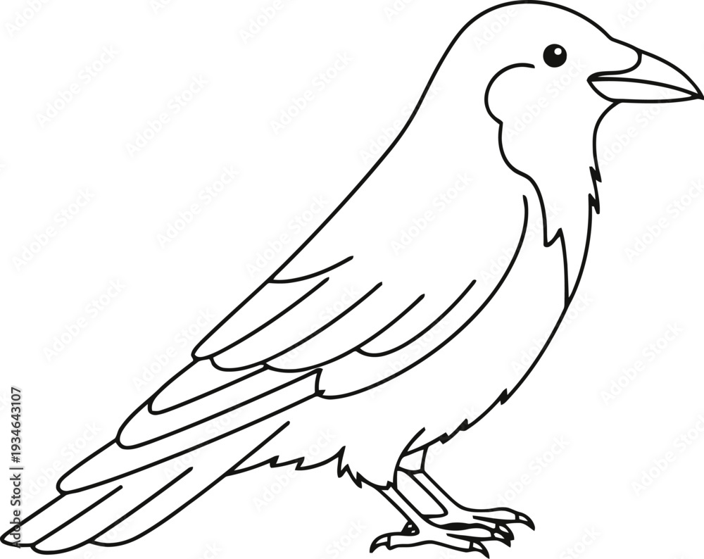 Obraz premium Bird coloring page vector outline illustration for kids