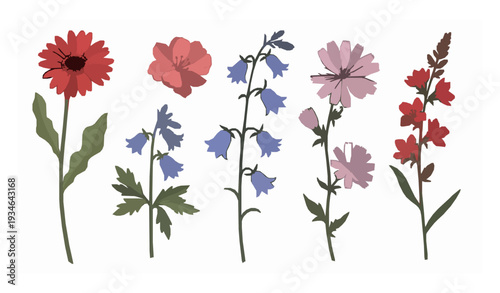 Simple hand drawn wild flower vector illustration set isolated on white