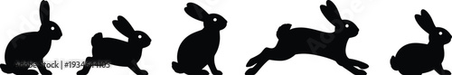 Rabbit vector illustration, animal motion silhouette design, wildlife inspired art, running leaping rabbits graphics, dynamic movement flat vector illustration content SEO