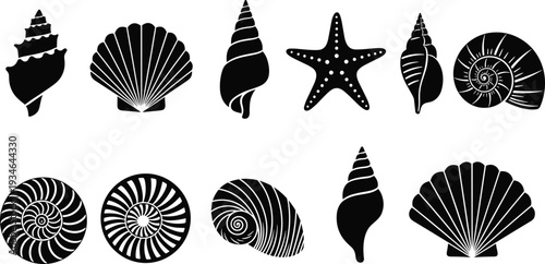 Seashell silhouettes vector set, marine shell and starfish black icons isolated on white background ocean nature illustration