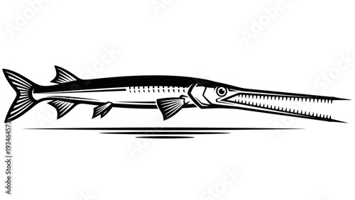 Illustration of a Barracuda Fish with Sharp Teeth and Open Mouth, Isolated on White Background