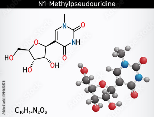N1-methylpseudouridine molecule. Modified nucleoside used for enhancing mRNA translation, used in mRNA vaccines. Structural chemical formula, molecule model. Vector illustration