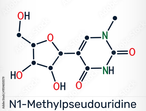 N1-methylpseudouridine molecule. Modified nucleoside used for enhancing mRNA translation, used in mRNA vaccines. Skeletal chemical formula. Vector illustration