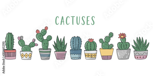 Collection of hand-drawn potted cacti and succulents in colorful pots on a white background Keywords: cactus, succulent, potted