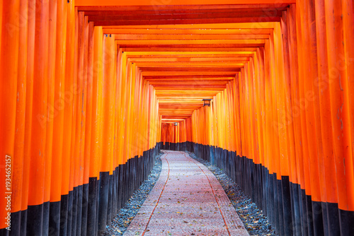 Картината върху платно Kyoto, Japan at Fushimi Inari Taisha Shrine torii gates.