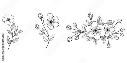 Three delicate black and white floral line art illustrations of flowers and buds bloom blossom