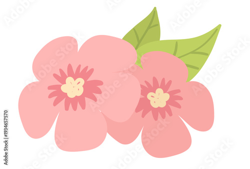 Vector illustration of pink flowers with green leaves. Flat design floral element isolated object.