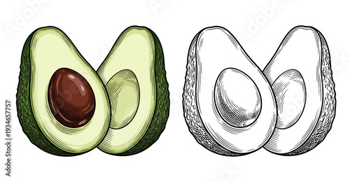 Avocado halves with pit illustrated in realistic and sketch styles side by side