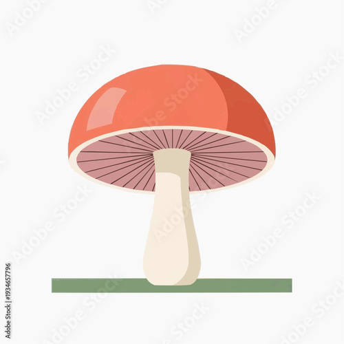 Red mushroom illustration with a white stem on green background  