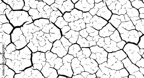 Cracked Earth Texture Vector Pattern Dry Soil Surface Drought Background Natural Element