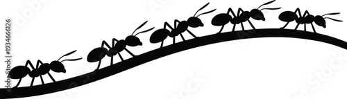 Line of Black Ant Silhouettes Walking on Curved Branch Isolated on White Background, Social Insect Colony Teamwork Concept for Wildlife and Pest Control Design