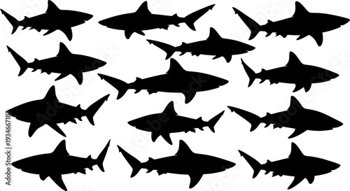 Collection of shark silhouettes on white background