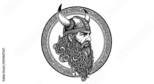 Viking warrior illustration with intricate beard and horned helmet.