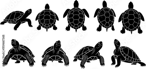 Silhouette of turtles in various positions black on white background silhouette