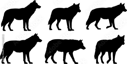 Collection of wolf silhouettes in various poses and angles showcasing different body shapes and features in silhouette