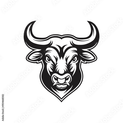 Intimidating black and white bull portrait displays fierce eyes and powerful horns clearly