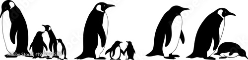 Silhouette of a group of penguins standing together in various poses
