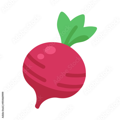 Minimalist flat vector illustration of a pink radish against a black background
