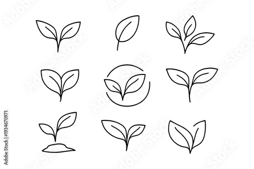 Different leaf designs showing growth and nature patterns in a simple