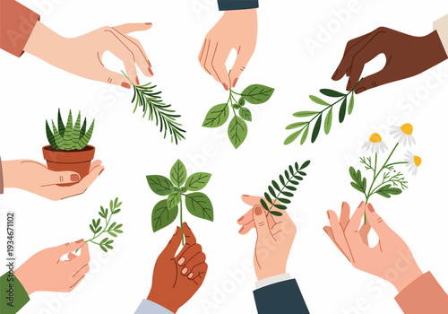 Hands holding various plants and leaves together.