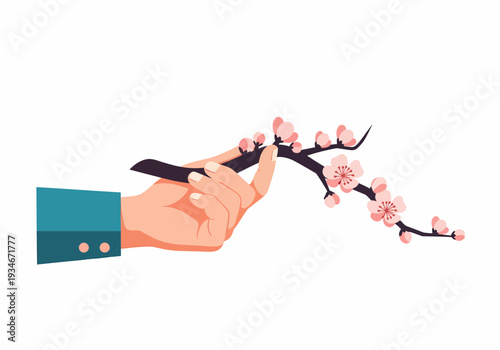 Hand Pruning Cherry Blossom Branch with Scissors.