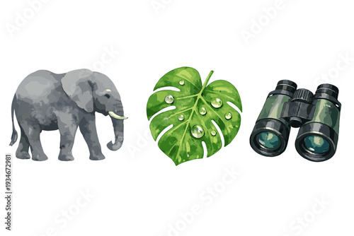 Elephant leaf and binoculars arranged together in a simple display of