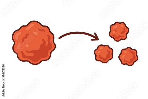 Process of one large circle dividing into three smaller circles shown