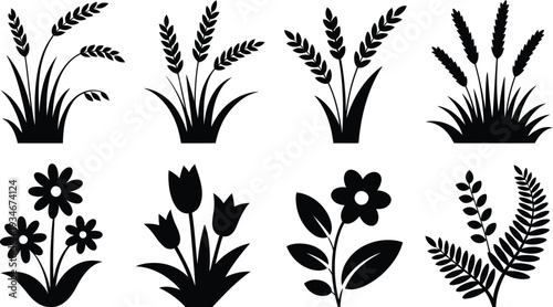 Black Silhouettes of Various Flowers and Grasses on White Background
