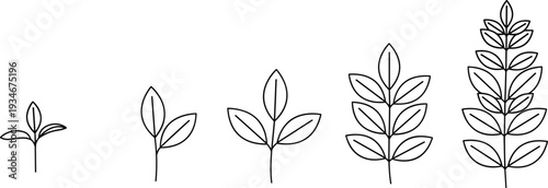 Plant Growth Cycle Icons Featuring Minimalist Line Art of a Seedling Sprouting Into a Mature Leafy Branch for Progress Illustrations