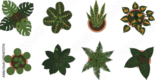 Minimal hand-drawn vector illustration set of decorative houseplants viewed from above in clean outline style and consistent stroke width