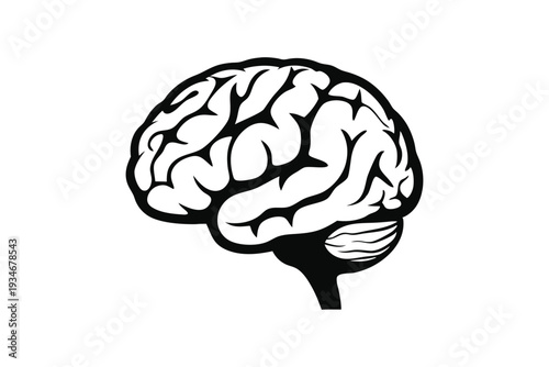 Bold human brain anatomical structure represented in a black and white medical silhouette