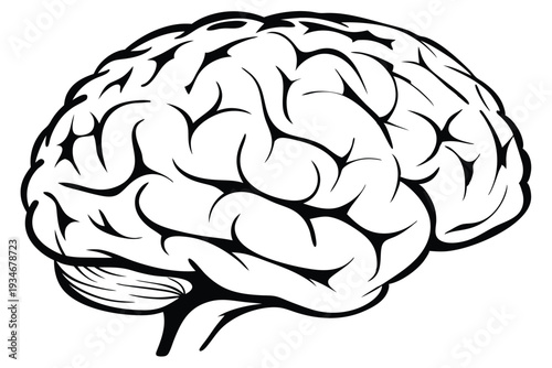 Monochrome human brain anatomy showcases detailed cortical structures on a white background for medical study