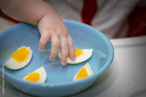 Wallpaper Mural Small child's hand taking a piece of boiled egg cut into parts from a plastic plate. Healthy toddler snack moment Torontodigital.ca