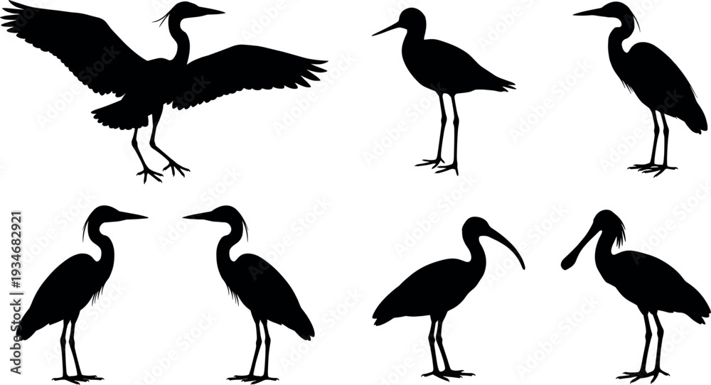 Obraz premium Vector Silhouette Set of Wetland Birds Including Heron, Egret, Crane, and Ibis in Various Poses for Nature Wildlife and Water Bird Design Projects.