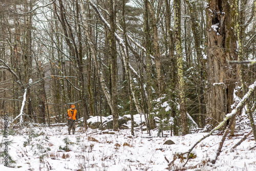 Male deer hunter in woods walking with rifle over shoulder wearing camo and safety orange in forest with fresh snow on ground.