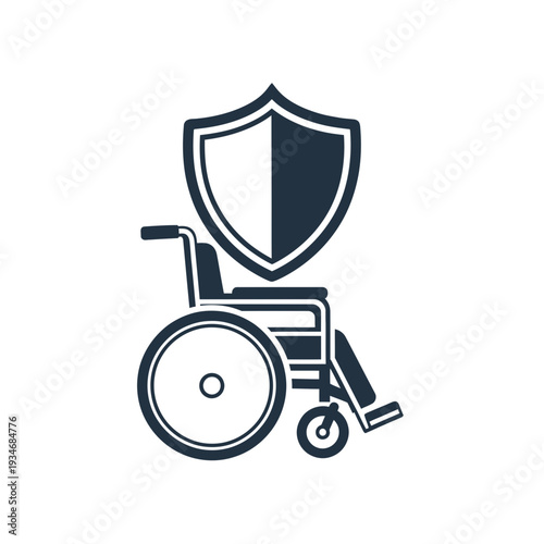 Conceptual Representation of Disability Protection, Security, and Healthcare Accessibility