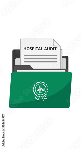 Comprehensive Healthcare Assessment: Hospital Audit Documents and Quality Assurance Review