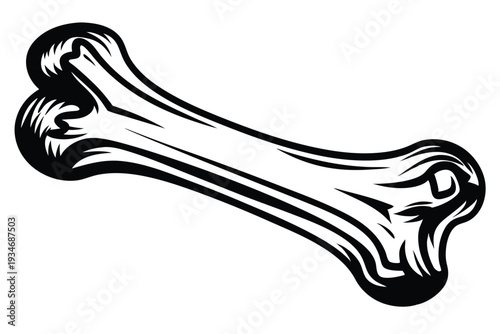 A monochrome line art bone with detailed black accents over a white backdrop
